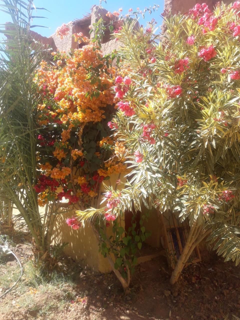 Kasbah Timidarte Ξενοδοχείο Zaouita Bou Lhassane Εξωτερικό φωτογραφία