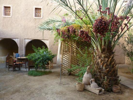 Kasbah Timidarte Ξενοδοχείο Zaouita Bou Lhassane Εξωτερικό φωτογραφία